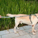Hunde-Spazierseil für den Außenbereich, reflektierend, elastisch, dehnbar, aus Nylon, gelb, grün
