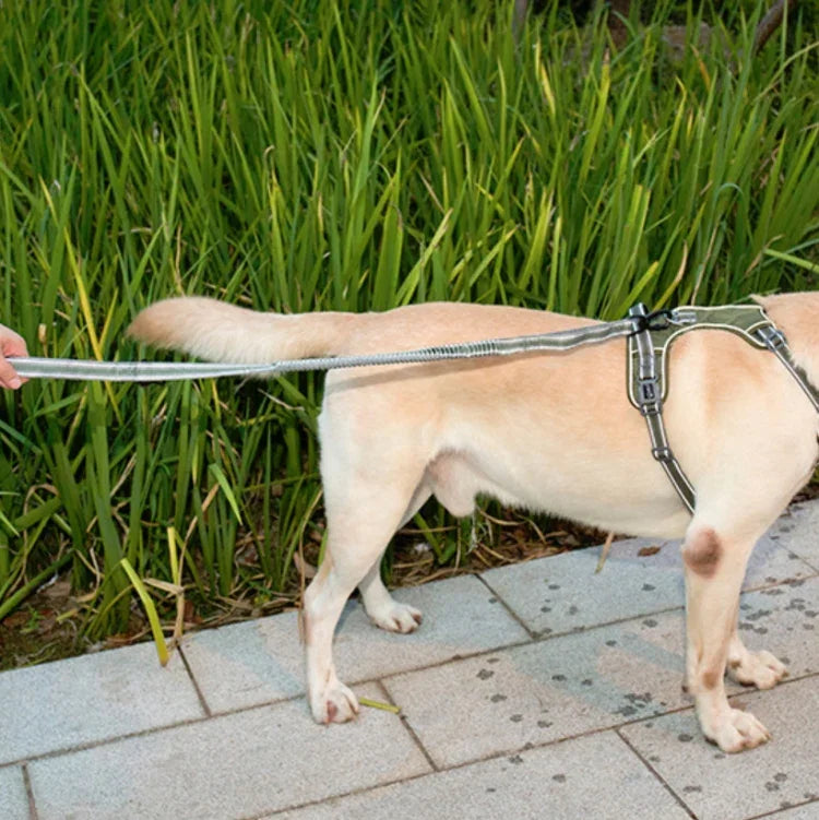 Hunde-Spazierseil für den Außenbereich, reflektierend, elastisch, dehnbar, aus Nylon, gelb, grün
