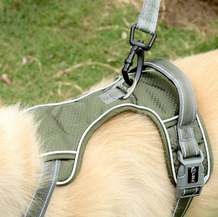 Hunde-Spazierseil für den Außenbereich, reflektierend, elastisch, dehnbar, aus Nylon, gelb, grün