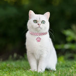 Diamant-Halsband für Haustiere, elastisch, für Katzen und Hunde, Schmuck, S, M, L