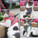 DogLemi Katzen-Traktionsseil, Brustgeschirr, Weste, Zuganzug, Katzen-Spaziergangseil, XS, S