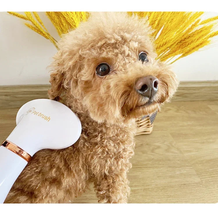 Elektrischer Haartrockner für Katzen und Hunde, US-Stecker, UK-Stecker