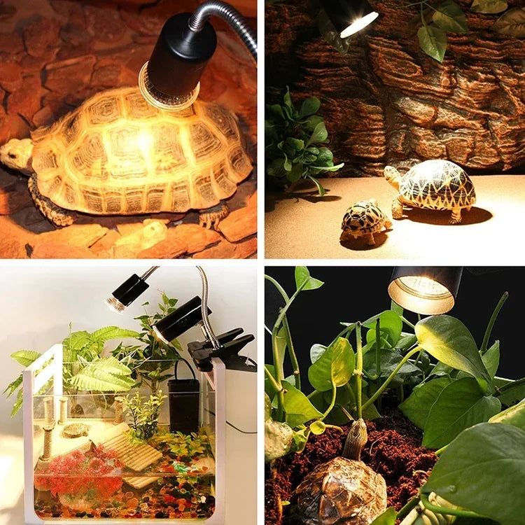 Schildkröten UVB Bräunungslampe Halterung Vollspektrum Haustier Solar Heizlicht Halterung, EU Stecker, EU Stecker