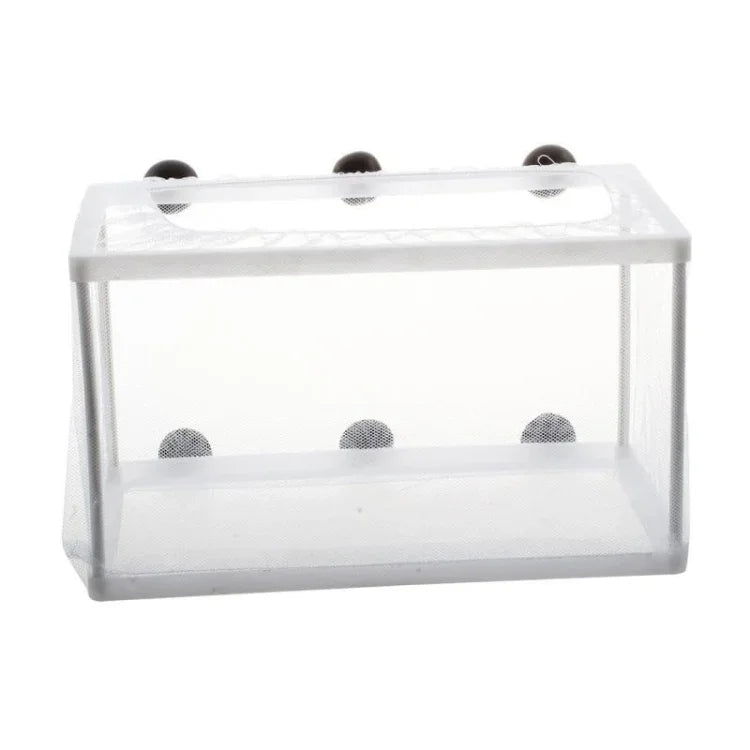 Großer Aquarien-Inkubator, kleines Fisch-Isolationsnetz, tropisches Fischzuchtbox, ohne Trennwand