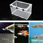 Großer Aquarien-Inkubator, kleines Fisch-Isolationsnetz, tropisches Fischzuchtbox, ohne Trennwand