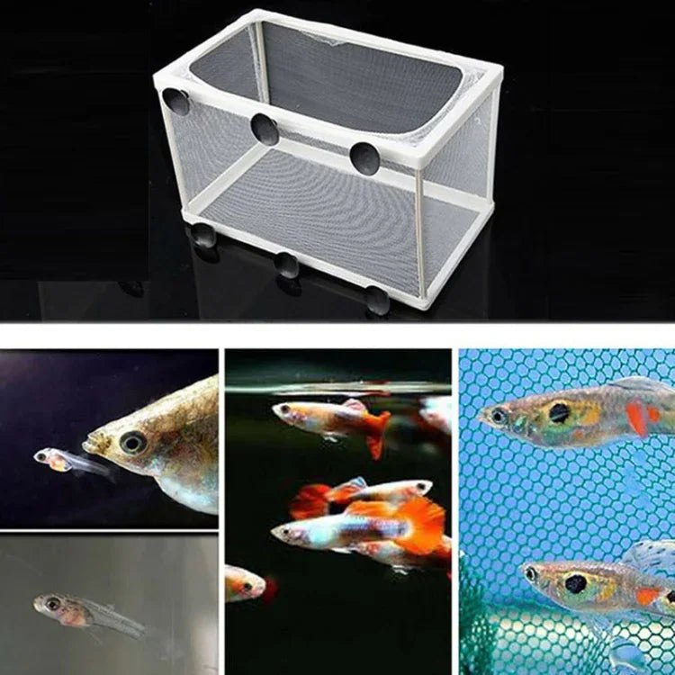 Großer Aquarien-Inkubator, kleines Fisch-Isolationsnetz, tropisches Fischzuchtbox, ohne Trennwand