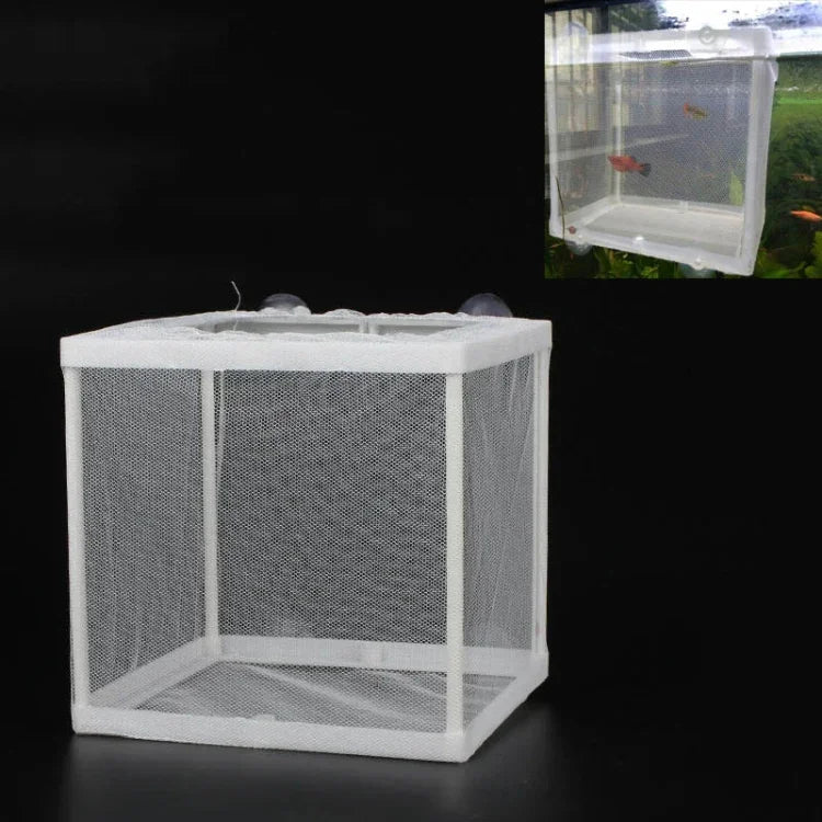 Kleiner Aquarien-Inkubator, kleines Fisch-Isolationsnetz, tropische Fischzuchtbox, ohne Trennwand