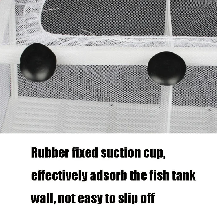 Kleiner Aquarien-Inkubator, kleines Fisch-Isolationsnetz, tropische Fischzuchtbox, ohne Trennwand