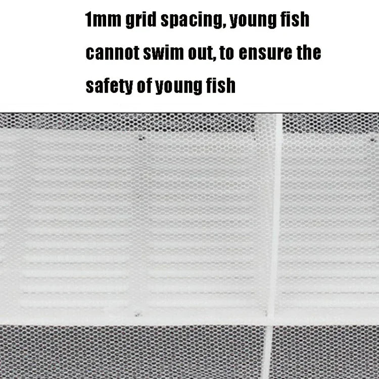 Kleiner Aquarien-Inkubator, kleines Fisch-Isolationsnetz, tropische Fischzuchtbox, ohne Trennwand
