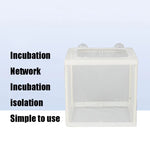Kleiner Aquarien-Inkubator, kleines Fisch-Isolationsnetz, tropische Fischzuchtbox, ohne Trennwand