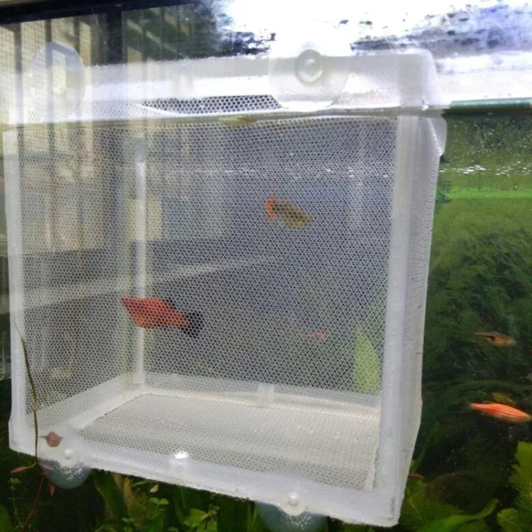 Kleiner Aquarien-Inkubator, kleines Fisch-Isolationsnetz, tropische Fischzuchtbox, ohne Trennwand