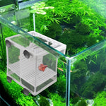 Kleine Größe Mit Zwischenwand Inkubator Kleiner Fisch Isolationsbox Netz Tropischer Fisch Zuchtbox, Mit Zwischenwand