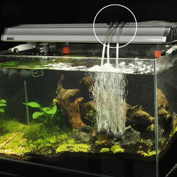 Fischtank-Sauerstoffrohr-Verteiler aus Edelstahl, Sauerstoffregulierungsventil, ein Kopf, zwei Köpfe, drei Köpfe, vier Köpfe, fünf Köpfe, sechs Köpfe, acht Köpfe, zehn Köpfe