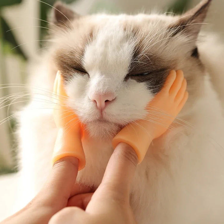 Fingerlinge für die Haustiermassage und Katzenhandschuhe, Fingermassage