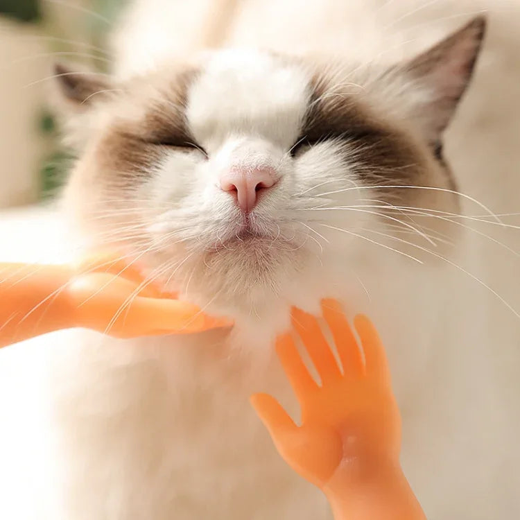Fingerlinge für die Haustiermassage und Katzenhandschuhe, Fingermassage