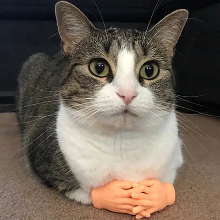 Fingerlinge für die Haustiermassage und Katzenhandschuhe, Fingermassage