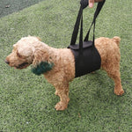 HCPET F1905 Assistenzgurte für behinderte Hunde, Gehhilfen für ältere Hunde, Haustierbedarf, S, M, L