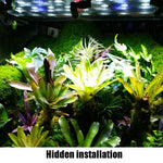 MS-PT02-A Sprühdüse zur Zerstäubung und Kühlung für Reptilien-Terrarien, Ökologische Landschaft, Regenwald-Terrarium, Universal, MS-PT02-A