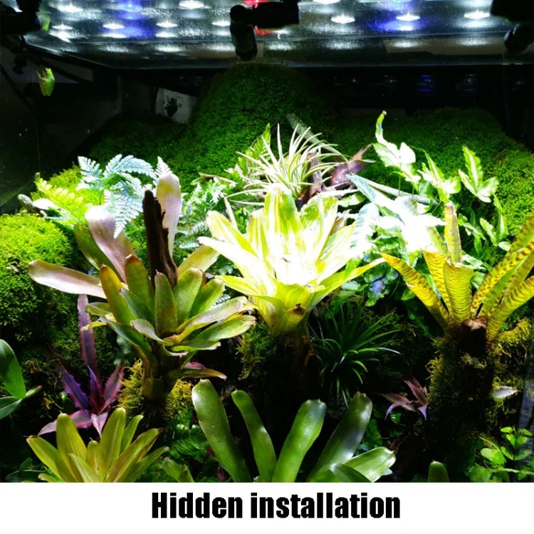 MS-PT02-A Sprühdüse zur Zerstäubung und Kühlung für Reptilien-Terrarien, Ökologische Landschaft, Regenwald-Terrarium, Universal, MS-PT02-A