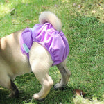 Physiologische Hundehöschen, wasserdichte Hundehöschen, XS, S, M, L, XL