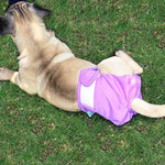 Physiologische Hundehöschen, wasserdichte Hundehöschen, XS, S, M, L, XL