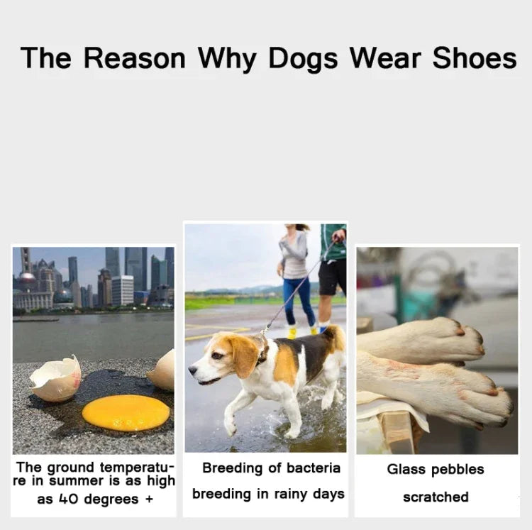 JML Hunde-Sportschuhe für Haustiere, rutschfest, abriebfest, bequem und atmungsaktiv, 1