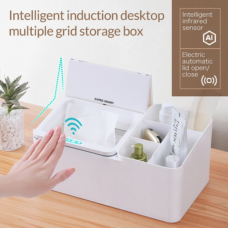 EXPED SMART Intelligente Induktions-Desktop-Elektro-Aufbewahrungsbox, USB-Laden (Grau)