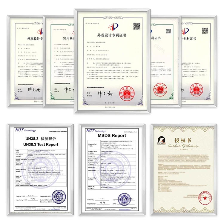 PaiPaitek PD526V-2 1-in-2 100-stufiges Hundetrainingsgerät mit Schall- und Vibrationsfunktion, elektronisches Fernbedienungshalsband, PD526V-2