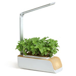 H003 Intelligente Hydroponische Gemüsepflanzmaschine Vollspektrum-Pflanzenwachstumslampe Erdkultur-Gemüseblumentopf
