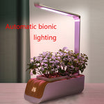 H003 Intelligente Hydroponische Gemüsepflanzmaschine Vollspektrum-Pflanzenwachstumslampe Erdkultur-Gemüseblumentopf