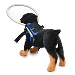 Blindheitsschutzring für Hunde, Tierschutzring-Abdeckung, Führungsring, S, M