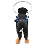 Blindheitsschutzring für Hunde, Tierschutzring-Abdeckung, Führungsring, S, M