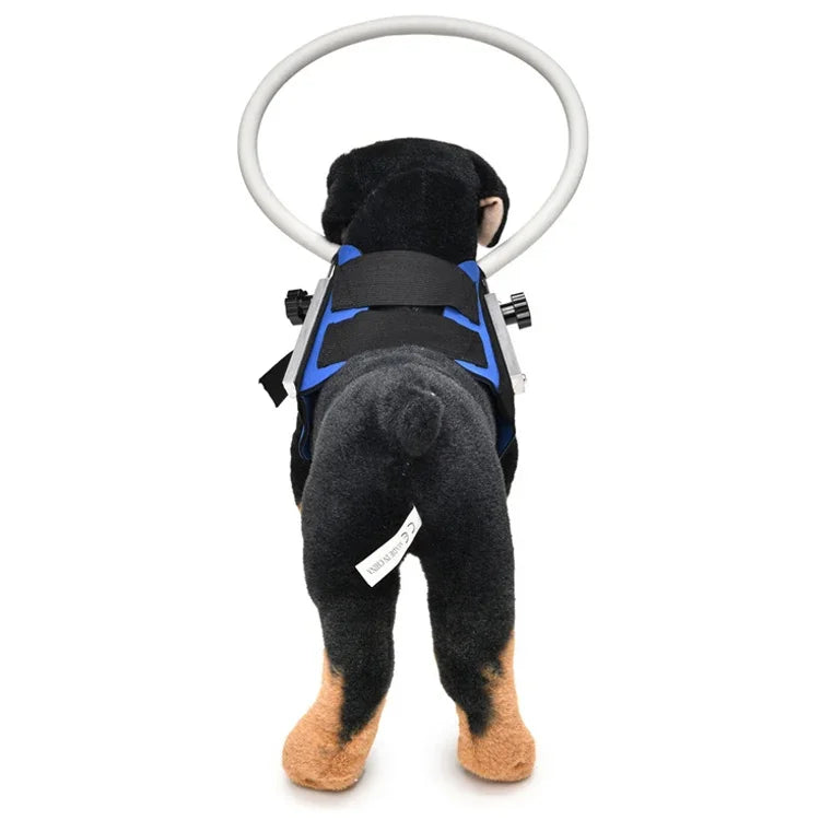 Blindheitsschutzring für Hunde, Tierschutzring-Abdeckung, Führungsring, S, M