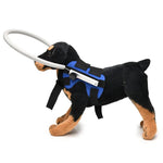 Blindheitsschutzring für Hunde, Tierschutzring-Abdeckung, Führungsring, S, M
