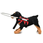 Blindheitsschutzring für Hunde, Tierschutzring-Abdeckung, Führungsring, S, M