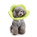 Hunde-Schutzhalsband mit Blumenmuster, Größen: S, M, L