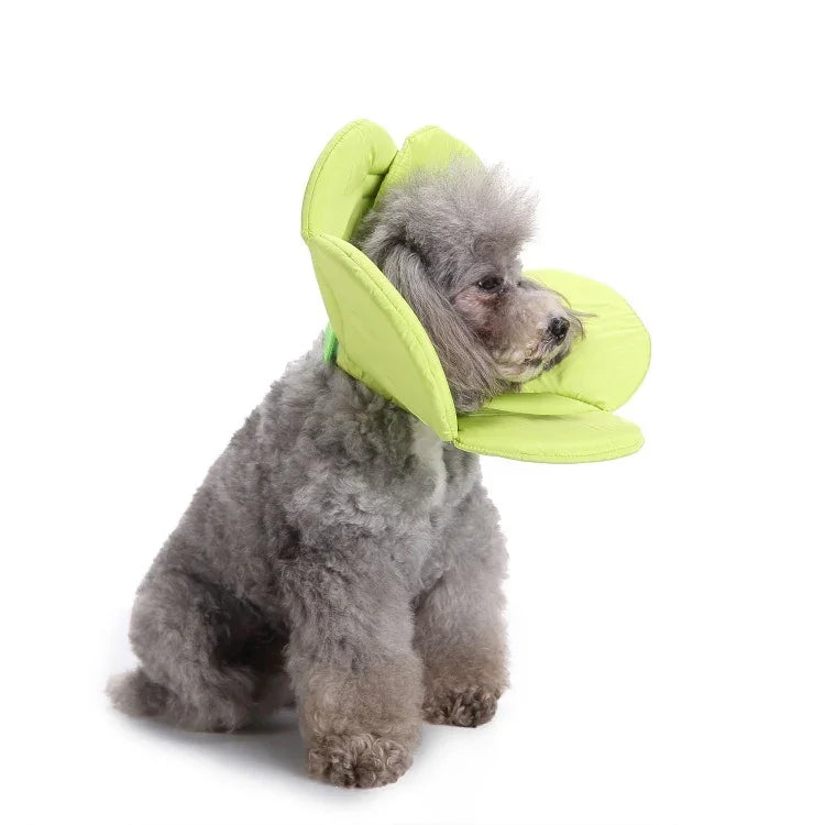 Hunde-Schutzhalsband mit Blumenmuster, Größen: S, M, L