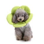 Hunde-Schutzhalsband mit Blumenmuster, Größen: S, M, L