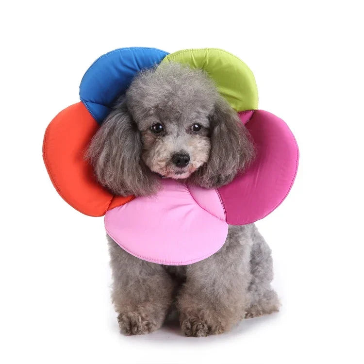 Hunde-Schutzhalsband mit Blumenmuster, Größen: S, M, L