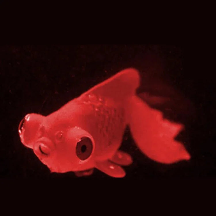 Nachtlicht Simulation Aquarium Dekorationen Umweltfreundliches Silikon Bunte Fische, 1 Roter Betta, 2 Brauner Betta, 3 Blauer Betta, 4 Blauer Goldfisch, 5 Roter Goldfisch, 6 Brauner Goldfisch