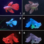 Nachtlicht Simulation Aquarium Dekorationen Umweltfreundliches Silikon Bunte Fische, 1 Roter Betta, 2 Brauner Betta, 3 Blauer Betta, 4 Blauer Goldfisch, 5 Roter Goldfisch, 6 Brauner Goldfisch