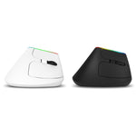 DELUX M618C 6 Tasten 1600 DPI RGB Vertikale Kabellose Bluetooth Dual-Mode-Maus, M618C(Weiß), M618C(Schwarz)