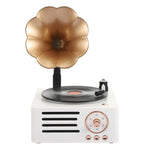 T15 Petunia Retro Vinyl-Schallplattenspieler Kabelloses Multifunktions-Mini-Bluetooth-Audio, Weiß, Rosa, Blau