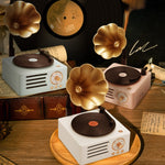 T15 Petunia Retro Vinyl-Schallplattenspieler Kabelloses Multifunktions-Mini-Bluetooth-Audio, Weiß, Rosa, Blau