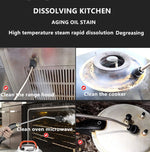 Dampfreiniger Hochtemperatur-Sterilisations-Reinigungsmaschine mit 1L Wassertank, 220V EU Stecker, 220V UK Stecker, 110V US Stecker, 220V AU Stecker, 220V US Stecker