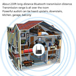 MB2 CSR Kabelloser Audio Adapter Bluetooth 5.0 Empfänger & Sender, MB2