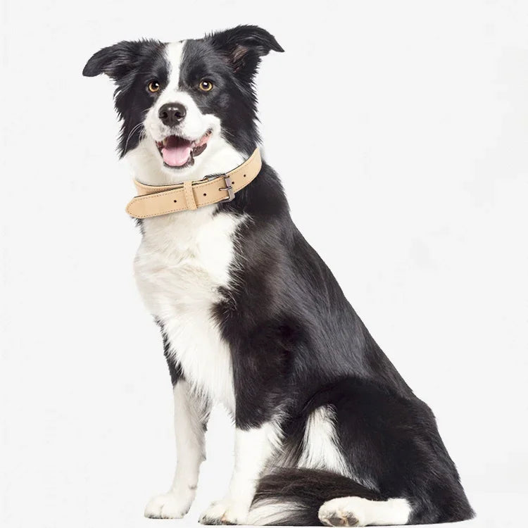 JINMAOHOU Dogs Double-Layer Leather Collar, XS 34x1.7cm, S 39x2.2cm, M 49x2.7cm, L 59x3.2cm