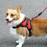 K9 Hund Verstellbares Brustgeschirr, Größe:, XS, S, M