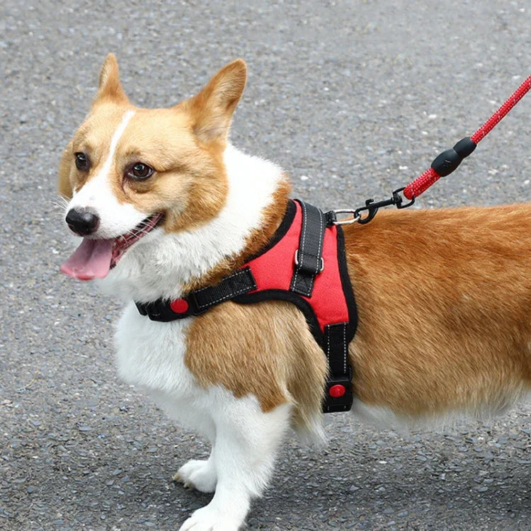 K9 Hund Verstellbares Brustgeschirr, Größe:, XS, S, M