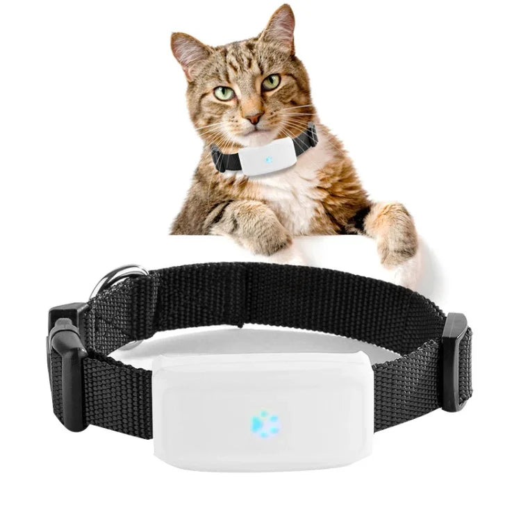 TK911 2G Haustier-GPS-Tracker, wasserdicht, TK911
